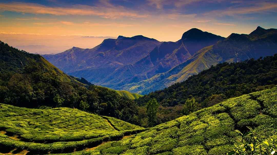 Theni
